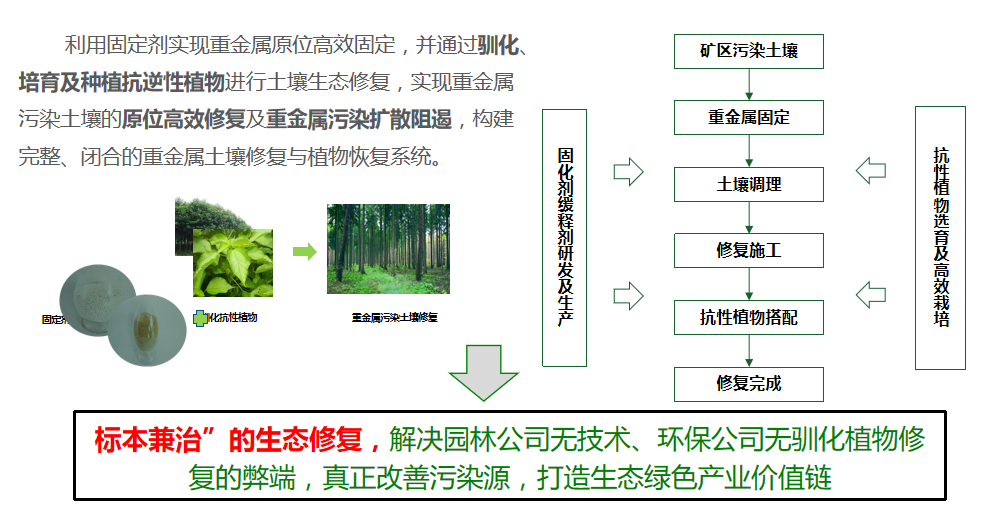 午夜欧美理论片方案优势