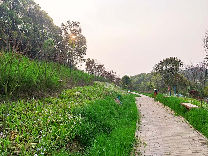 衡阳市常宁水口山铅锌煤矿区山水林田湖草生态保护午夜欧美理论片试点工程